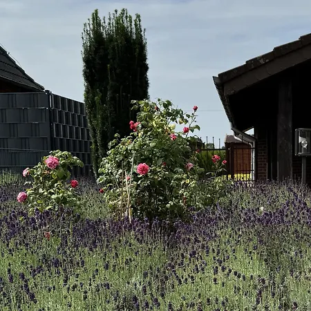 Lavendelhaus 別荘 Westoverledingen