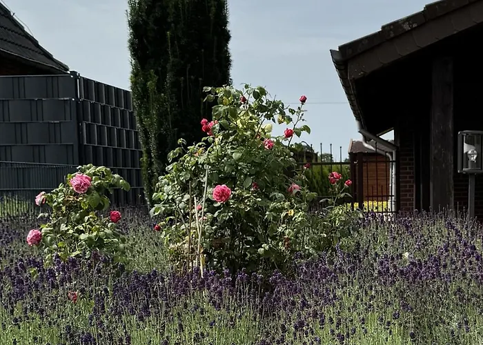 Lavendelhaus Nyaraló Westoverledingen